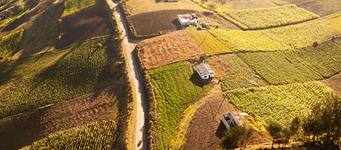 Tematiche Sviluppo Rurale Tematiche Sviluppo Rurale