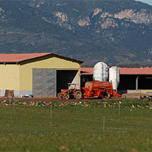 sviluppo rurale sviluppo rurale