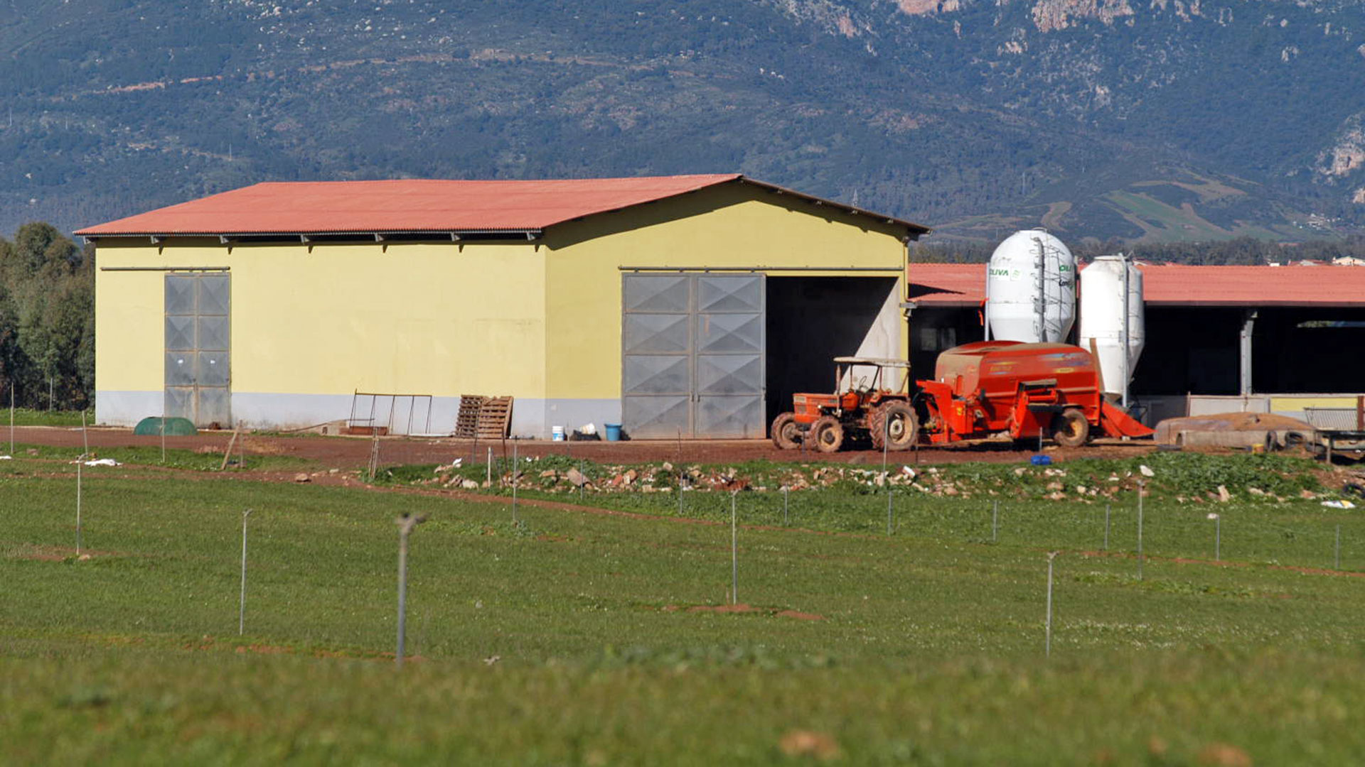 Agricoltura Agricoltura