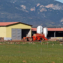 Agricoltura Agricoltura