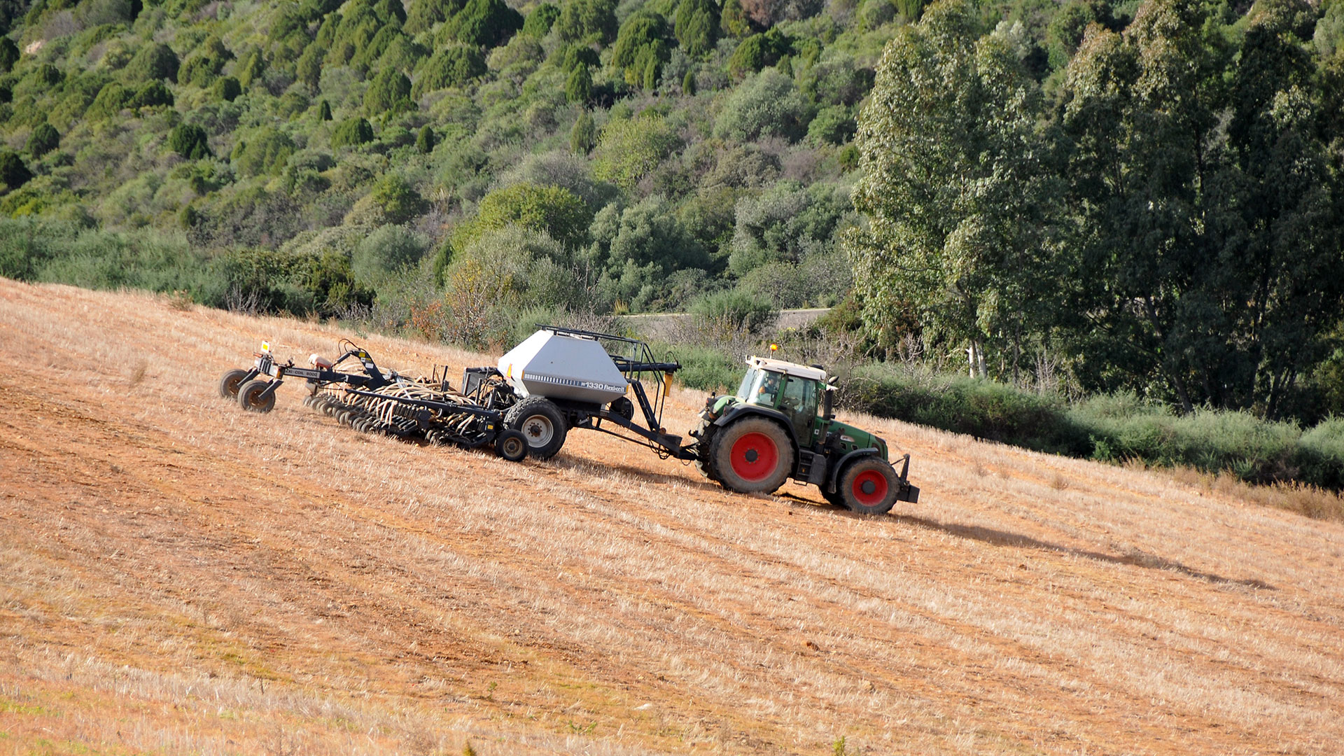 Agricoltura Agricoltura