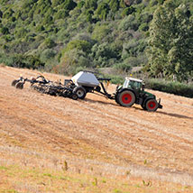Agricoltura Agricoltura