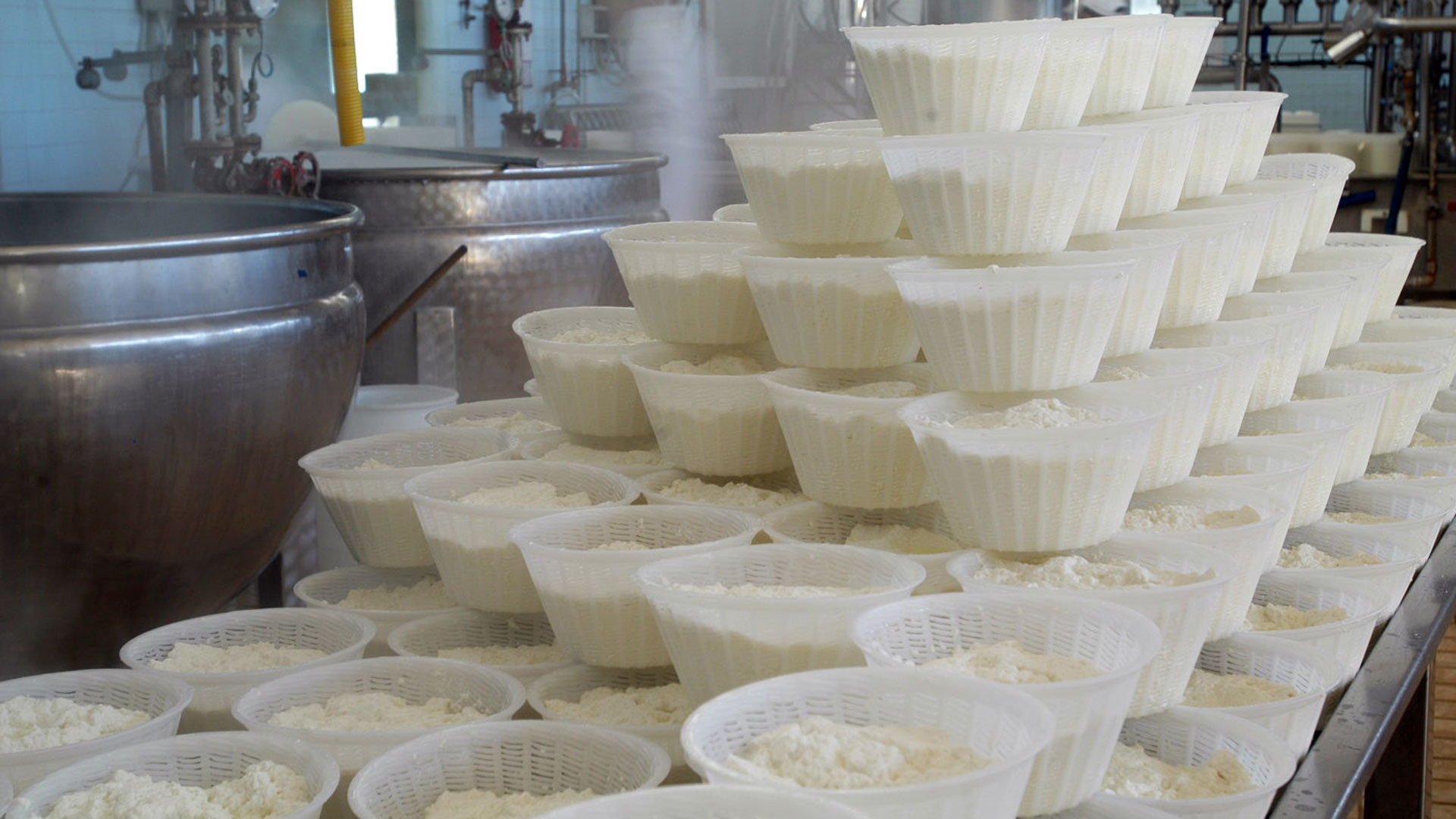 Caseificio Caseificio