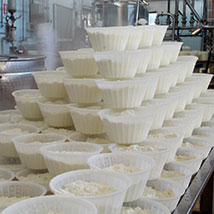 Caseificio Caseificio