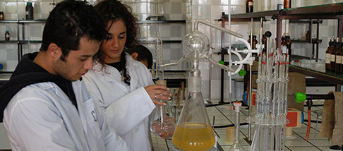 Tirocini formativi Tirocini formativi