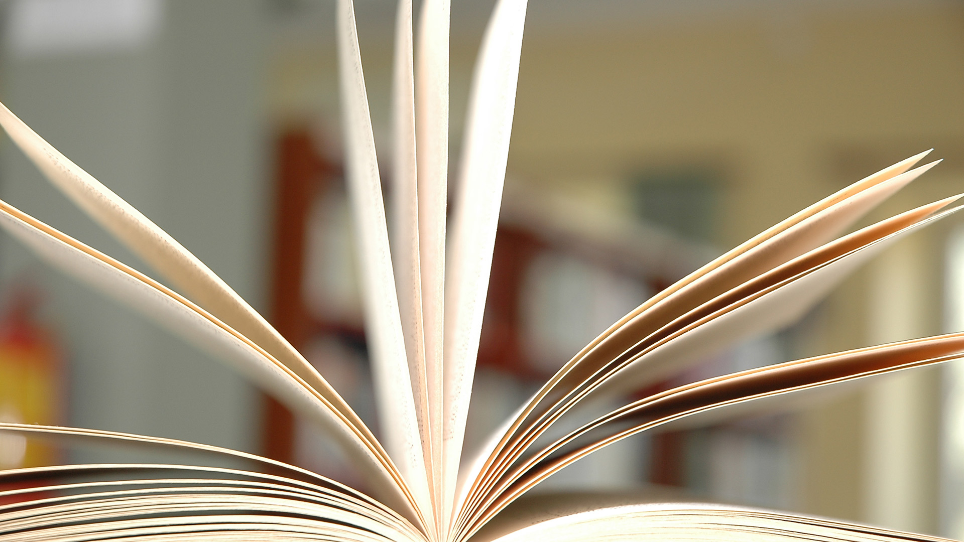 Cultura editoria libri archivi biblioteche Cultura editoria libri archivi biblioteche