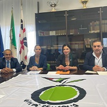 città dell'olio città dell'olio